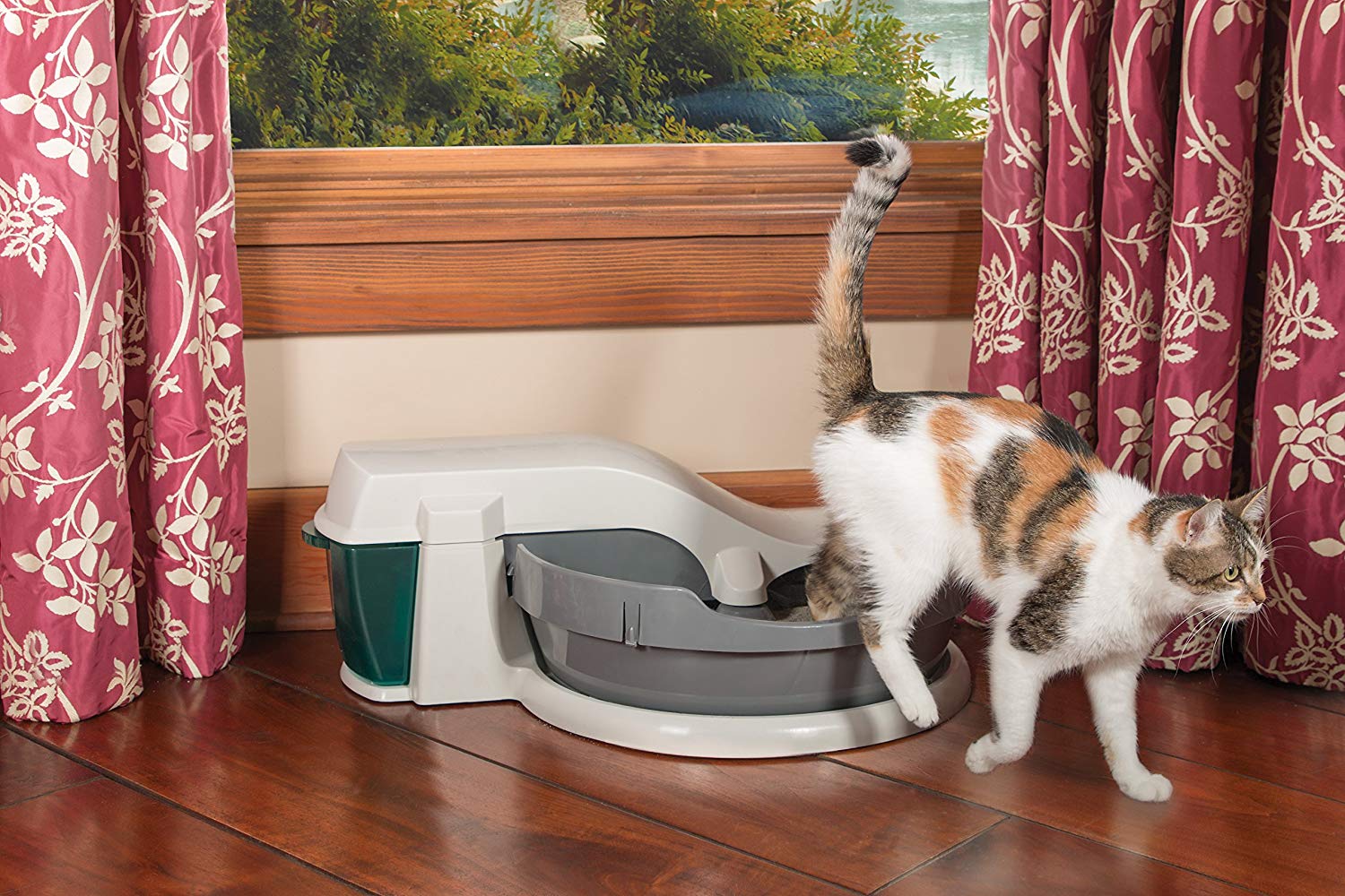 Top 10 Best Self Cleaning Litter Boxes in 2023 Reviews Guide