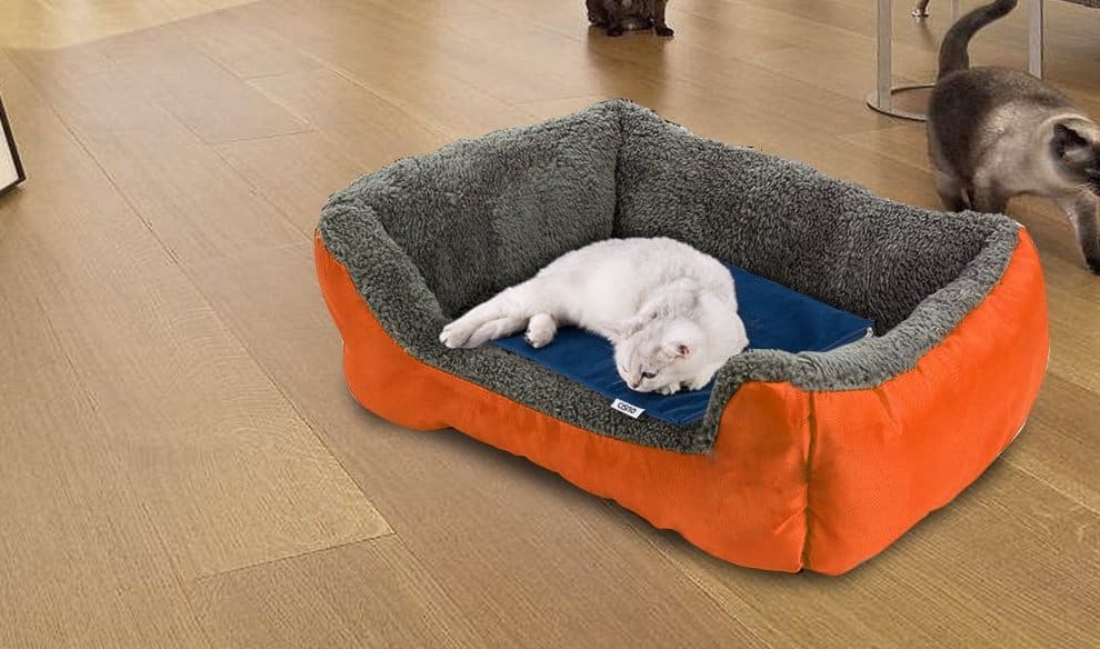 electric heated pet bed