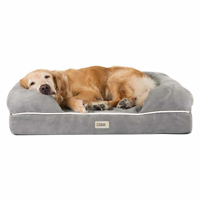 Top 10 Best Cooling Dog Beds in 2023 Reviews | Buyer's Guide